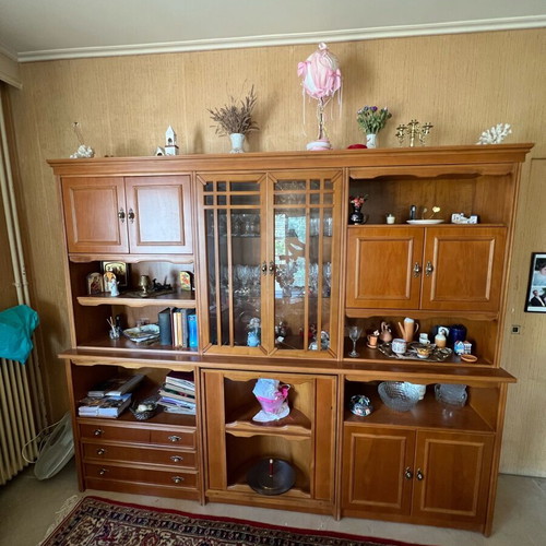 Living room unit used with display cabinet and storage space