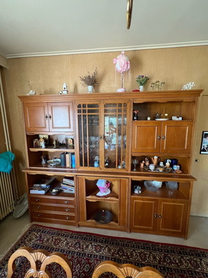 Living room unit used with display cabinet and storage space