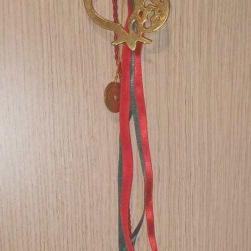 Handmade lucky charm 2026 with pomegranate and coin new