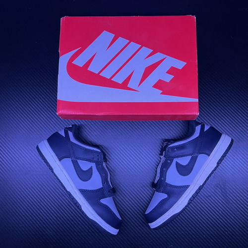 Nike Dunk Low kids' size 30 new with box authentic