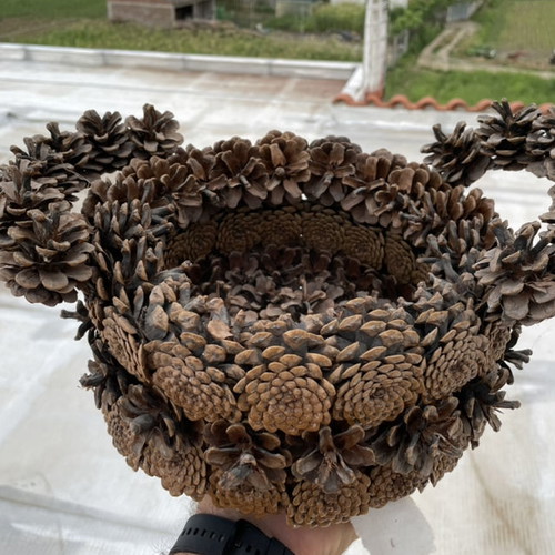 Decorative basket used made of pine cones