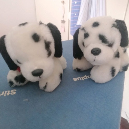 Stuffed dogs used, set of 2, height 10 cm