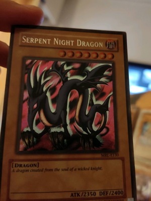 SERPENT NIGHT DRAGON