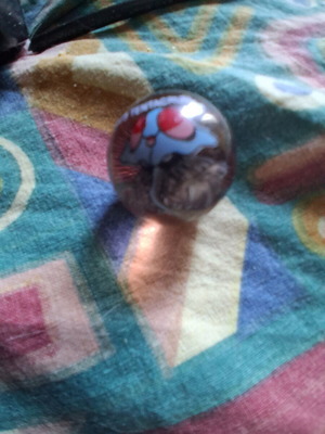 Pokemon marbles used, package