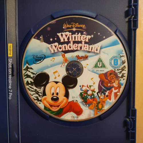 Winter Wonderland DVD Disney used, dubbed animated movie