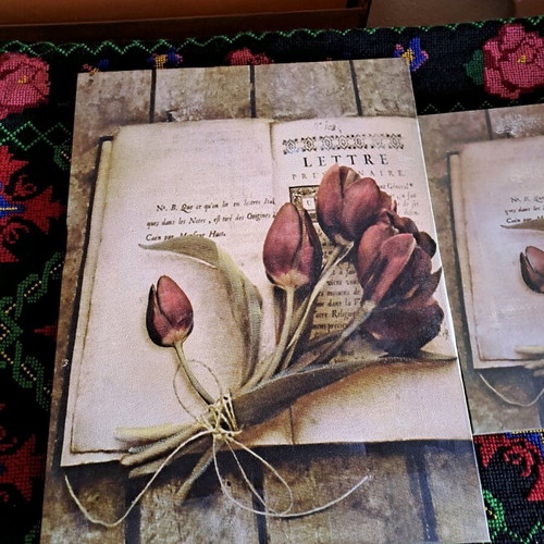 Frames used, set of 2 pieces