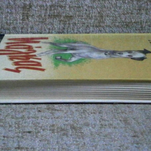 Magkas by P.S. Delta book used, hard cover, 305 pages
