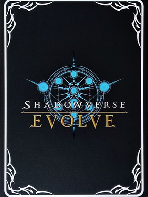 Dreizehn Shadowverse Evolve Leader card
