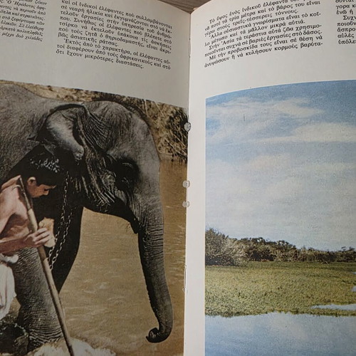 Walt Disney The Secret Life of Animals illustrated book