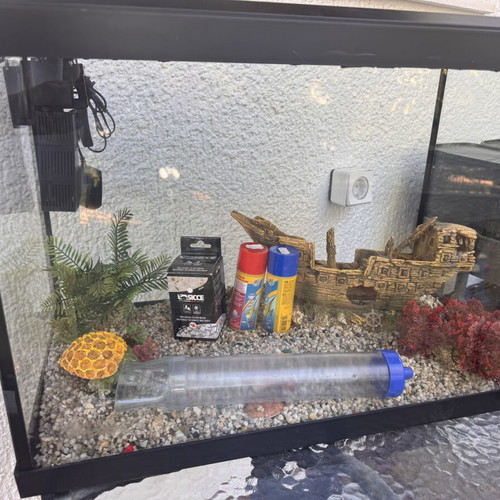 60L aquarium with filter and decorations
