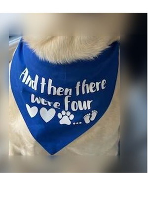 Кучешка бандана "And then there were four" нова, синя