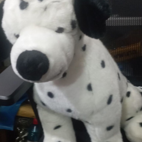 Dalmatian plush dog used, 40 cm height