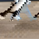  Φιγούρα Σιλβεστερ Sylvester Looney Tunes