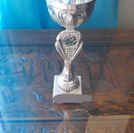 Cup used, approximately 23cm height
