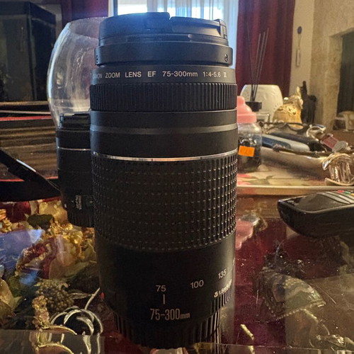 Canon 750d camera with lenses and flash