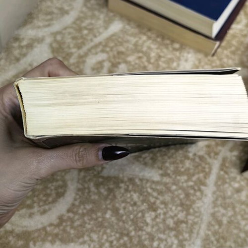 Blood Promise book like new