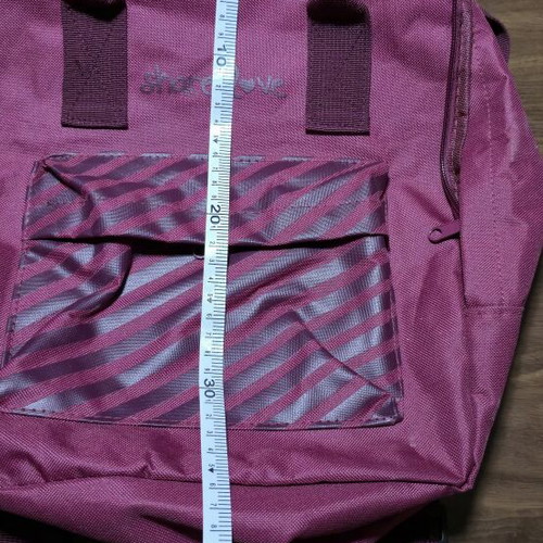 ArGOODaki Goody's Burgundy Backpack like new, collectible