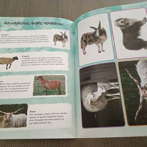 Nefeli the Animal Doctor book new