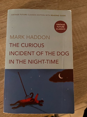 English book like new