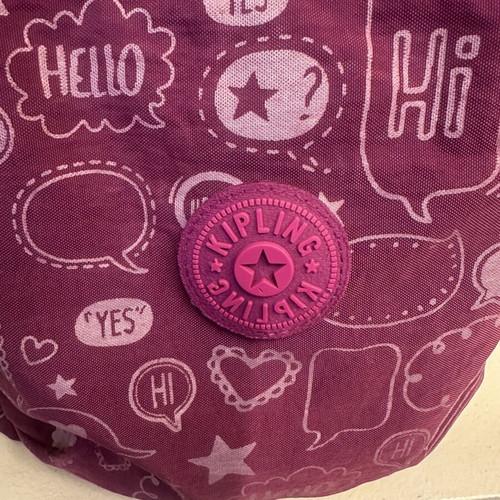 Kipling school bag like new with pencil case, purple color
