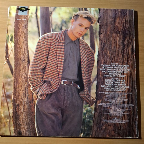 Jason Donovan Ten Good Reasons vinyl like new, pop