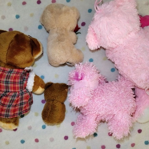 Stuffed toys used, pack for girls