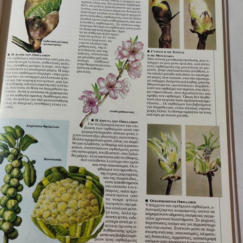 The World of Plants book like new