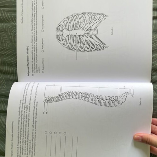 Anatomy and Physiology Exercise Manual new, Greek