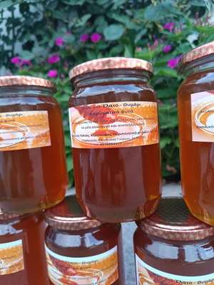 Organic honey new from fir and thyme