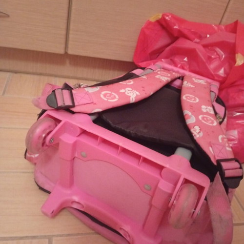 Wheeled bag like new