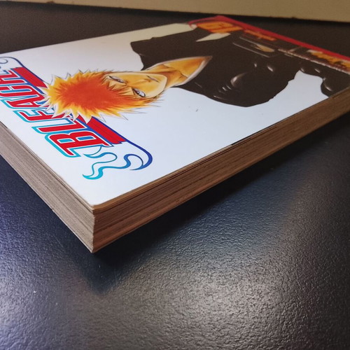 Bleach Volume 19 used, English