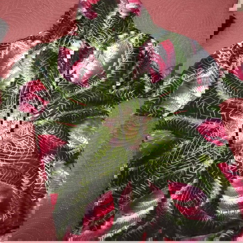 Психеделичен цветен анцуг - унисекс