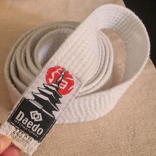 Taekwondo belt like new