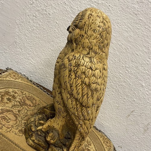 Old Dutch owl used, nocturnal bird