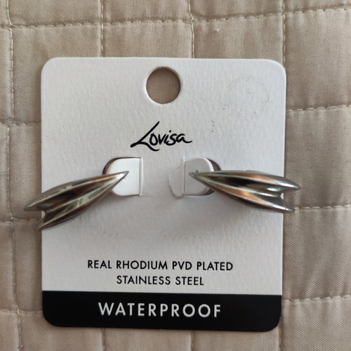 Silver earrings