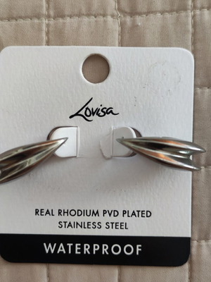 Silver earrings