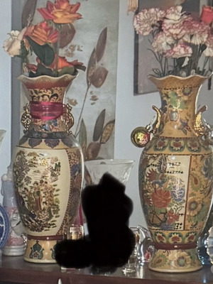 Porcelain vases Chinese style set