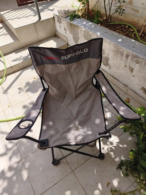 Buffalo aluminum beach chair