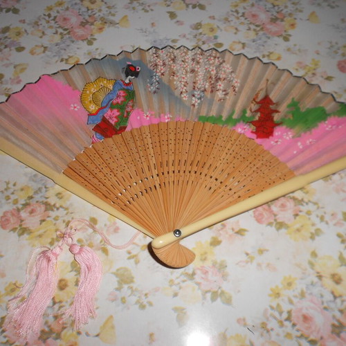 Japanese fans used, set of 2 with case