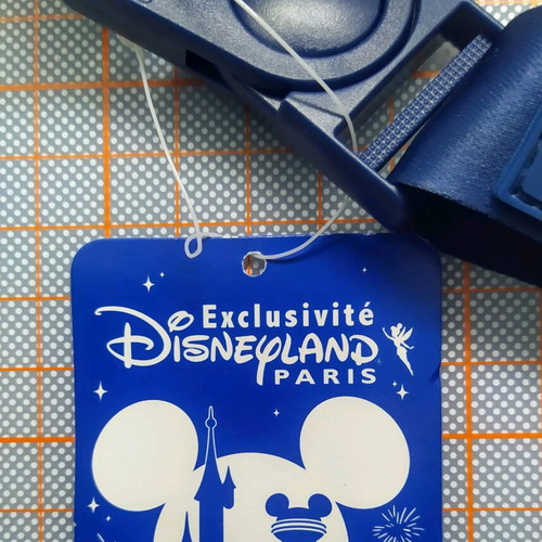 Neck cord from Disneyland Paris commemorative of 2023