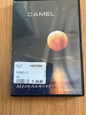 Camel Moondances 1976-1977 σαν καινούργιο