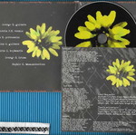 Infidelity Viewer From A Black Star CD album