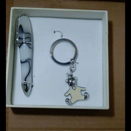 Keychain and pen set new