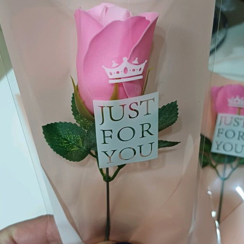 Eternal Pink Rose new in gift packaging