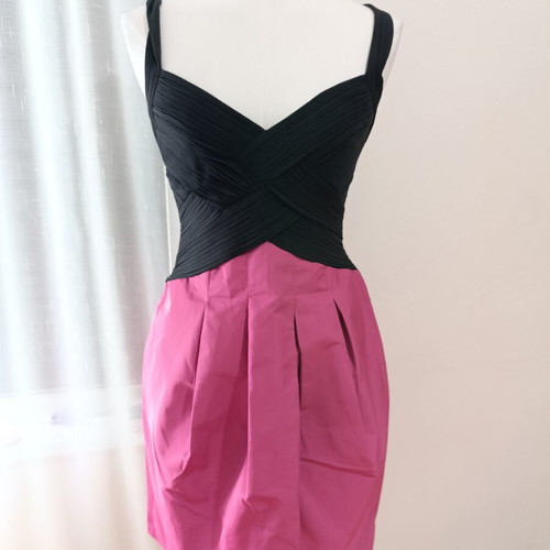 BCBG Max Azria Official Dress, XXS