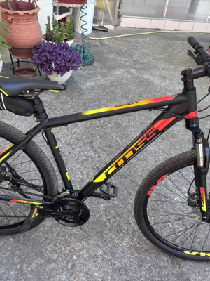 Cross GRX 29" mountain bike, size L, Shimano 21-speed