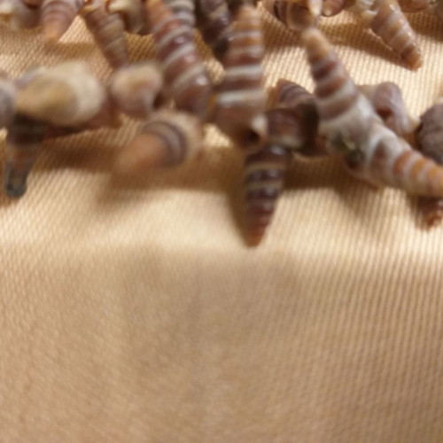 Necklace with brown shells, vintage