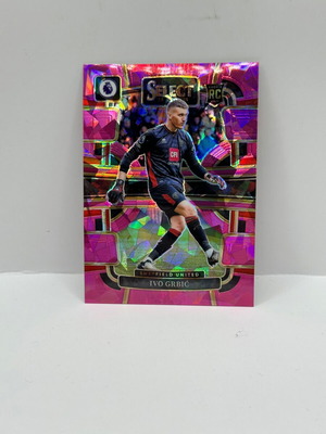 Panini Select Premier League Ivo Grbic Purple Ice RC card new
