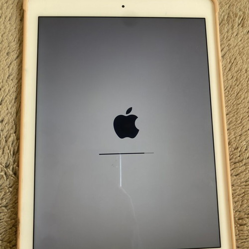 iPad Air 2 used with case and charger