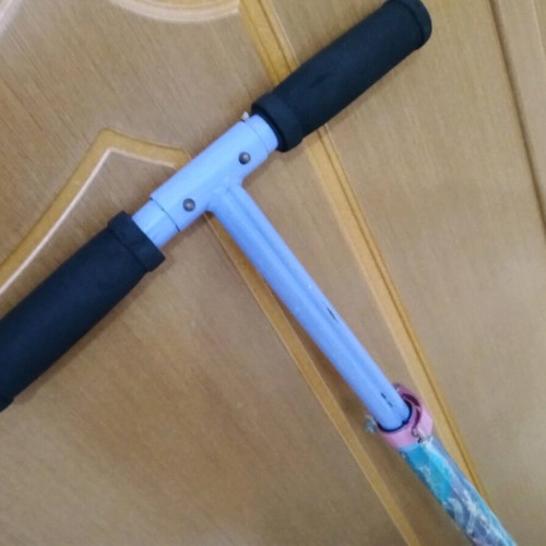 foldable scooter Frozeen